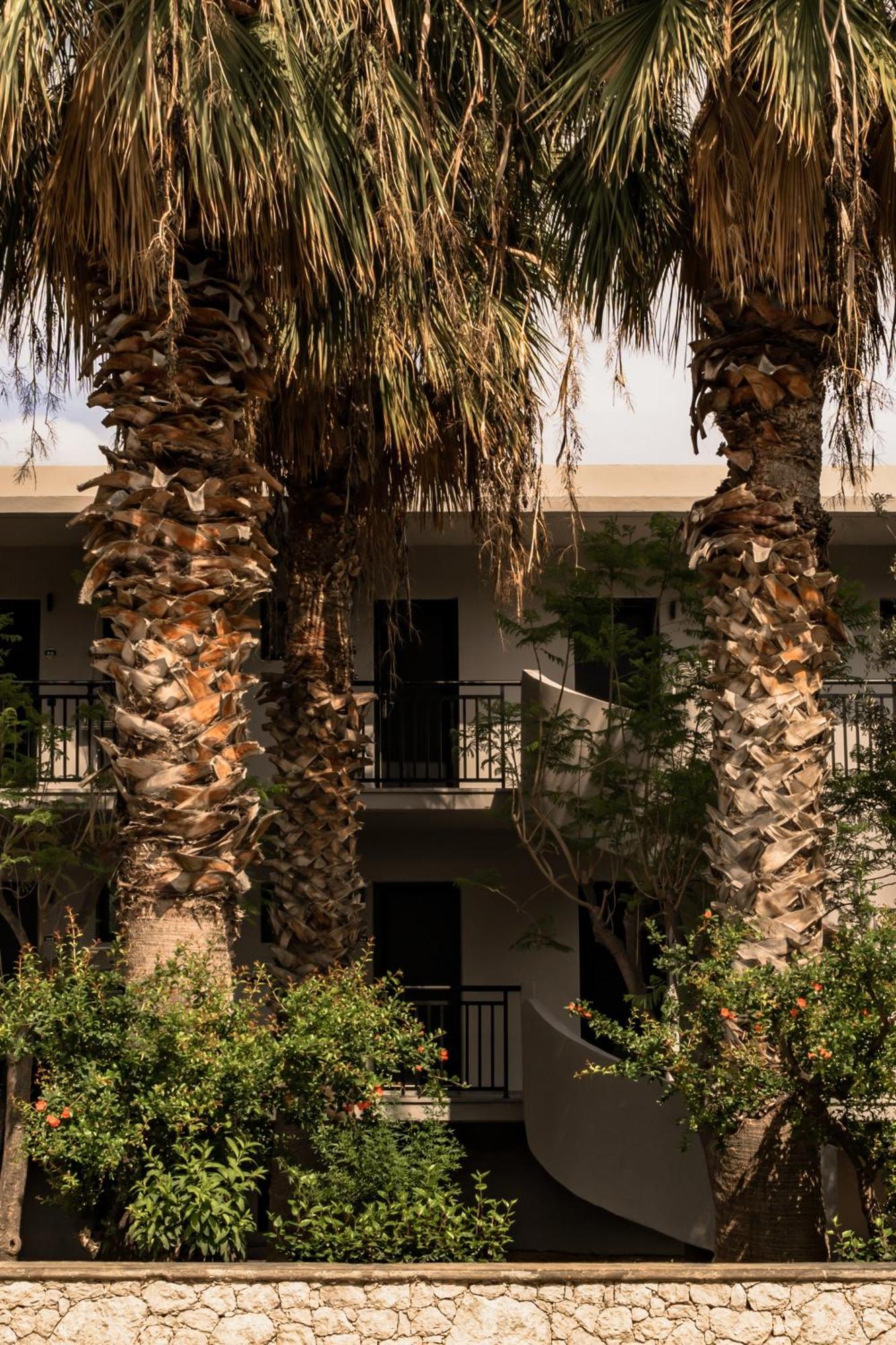 Hotel Cook's Club Rhodes -adults Only Kolymbia